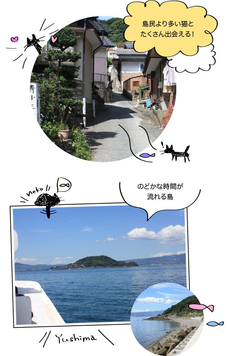 猫の島 湯島