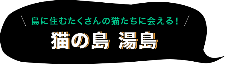 猫の島 湯島