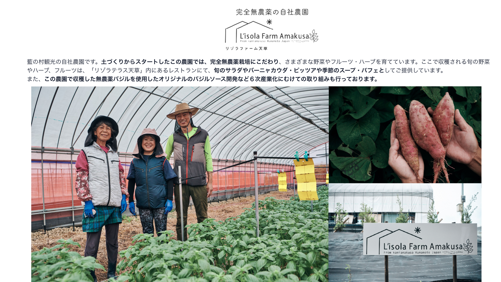 ブログ 天草のリゾートマーケット リゾラテラス天草 公式サイト